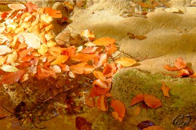 Прикрепленное изображение: 1.JPG